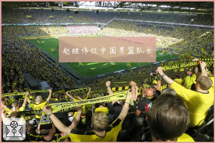 赵继伟任中国男篮队长