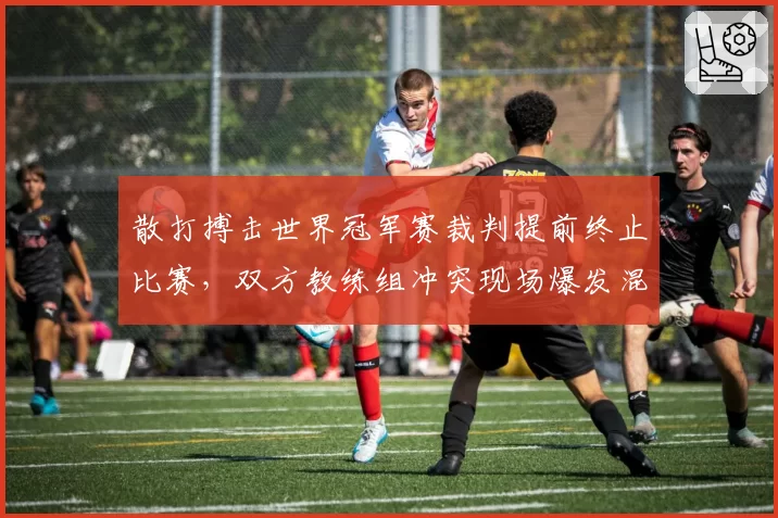 散打搏击世界冠军赛裁判提前终止比赛,双方教练组冲突现场爆发混战