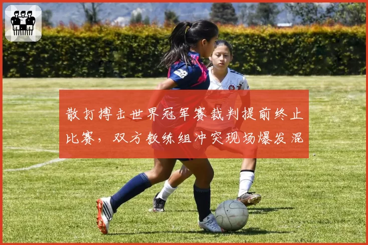散打搏击世界冠军赛裁判提前终止比赛,双方教练组冲突现场爆发混战